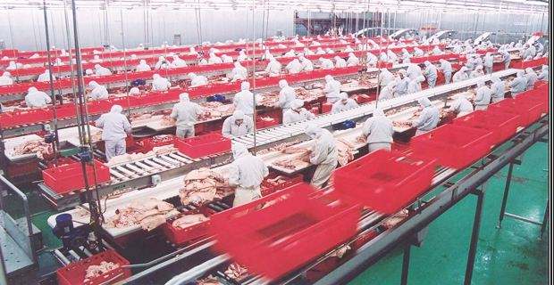 臭氧對肉制品車間消毒是如何進行的？